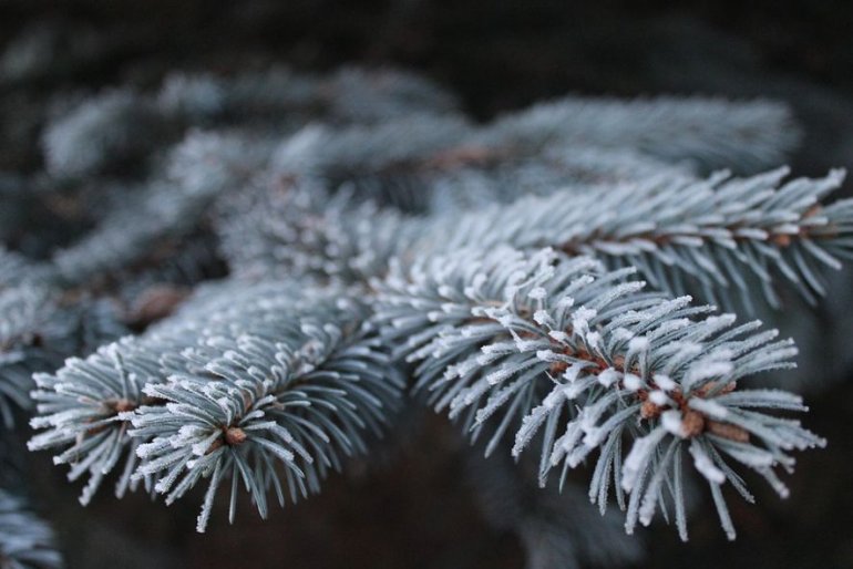 Vánoční prázdniny